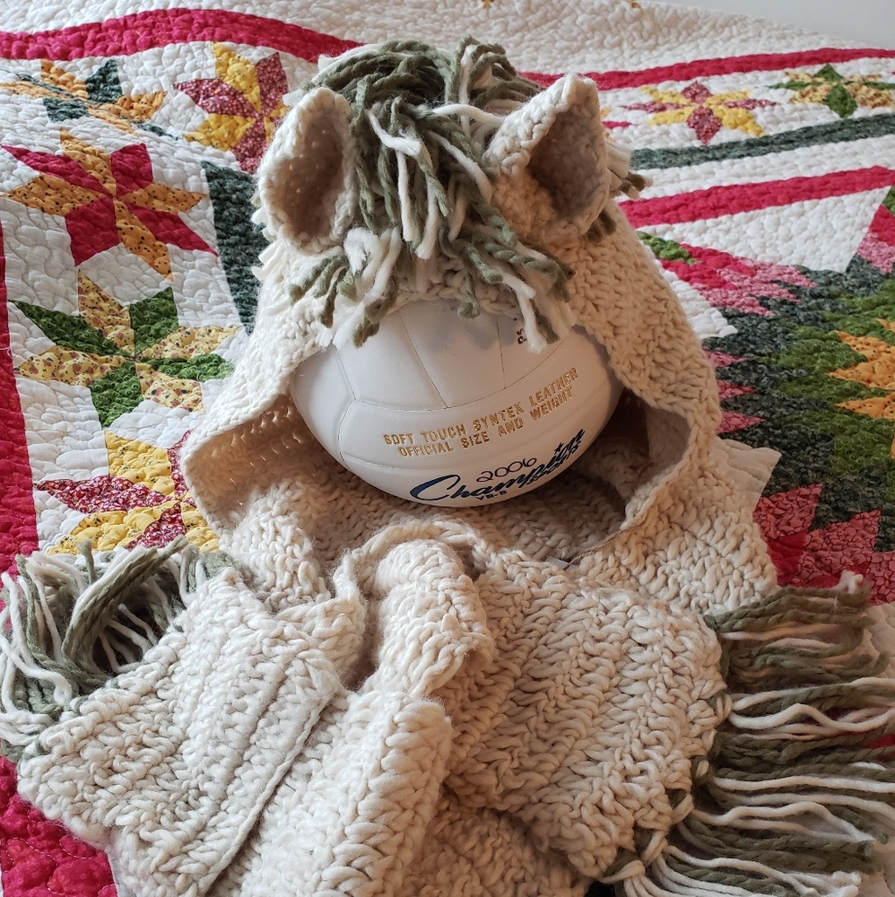 Hooded Horse Scarf